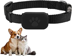Rastreador GPS Gato Perro sin suscripción mensual, impermeable y compatible con iOS y Android